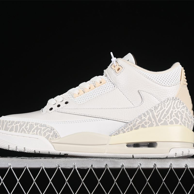 Travis Scott x Retro Cactus Jack AJ3 136064-668