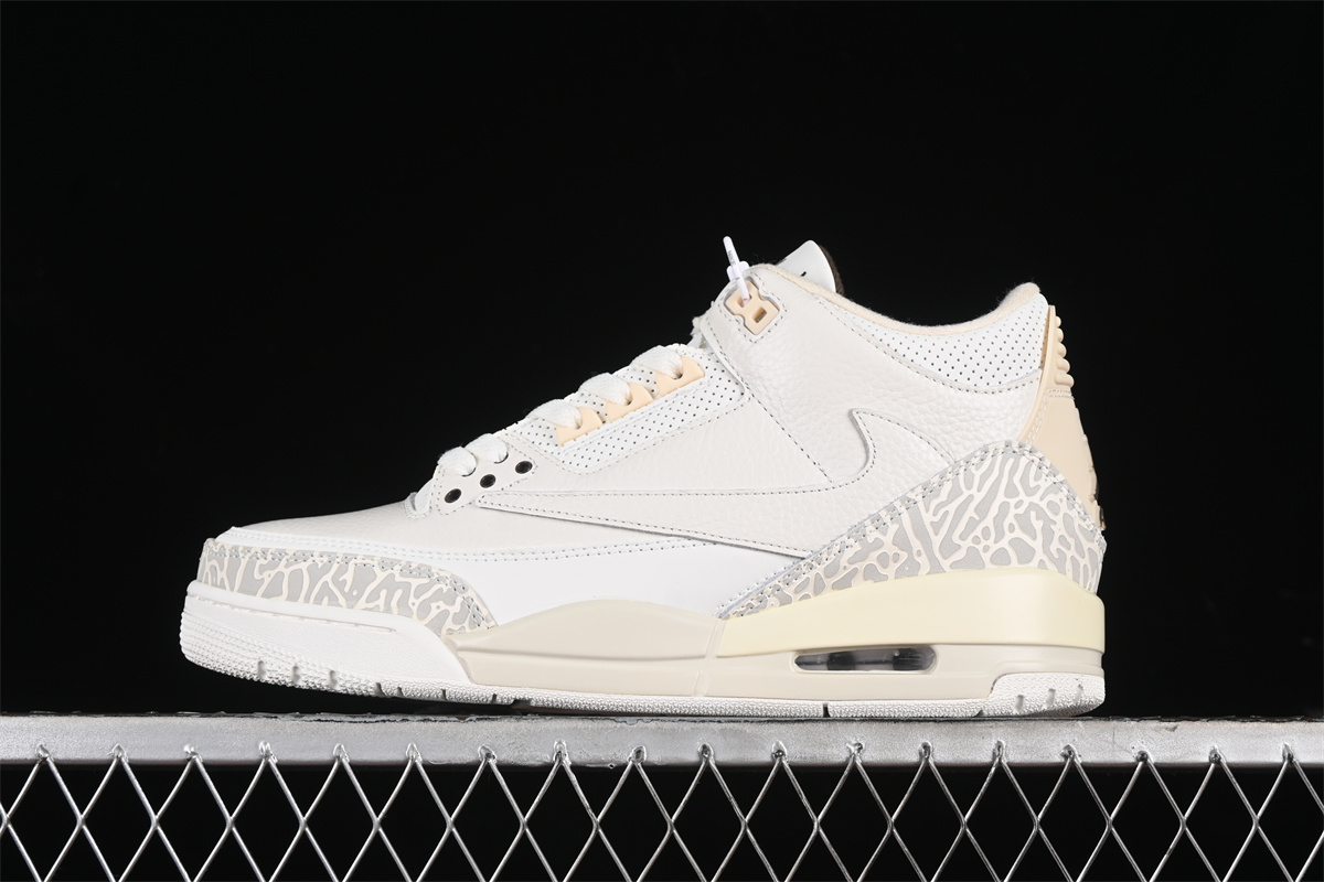 Travis Scott x Retro Cactus Jack AJ3 136064-668